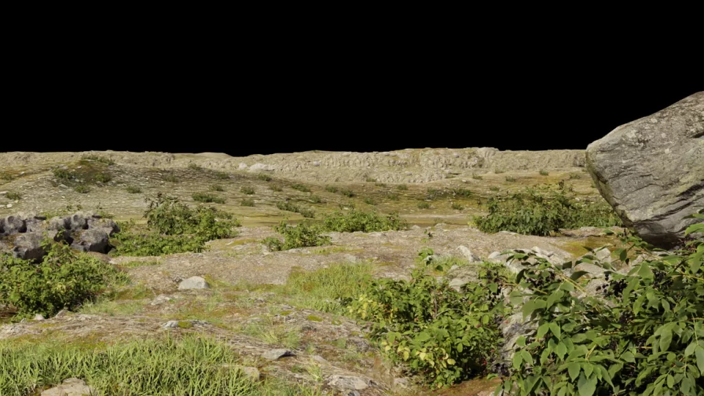 Eine Landschaft aus Steinen mit Gras und Büschen ohne Himmel