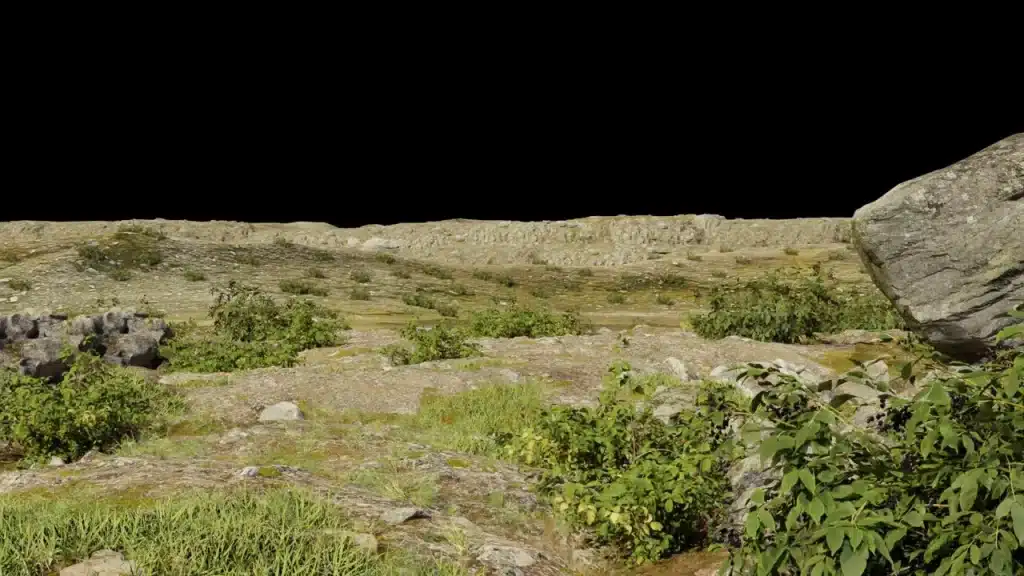 Eine Landschaft aus Steinen mit Gras und Büschen ohne Himmel